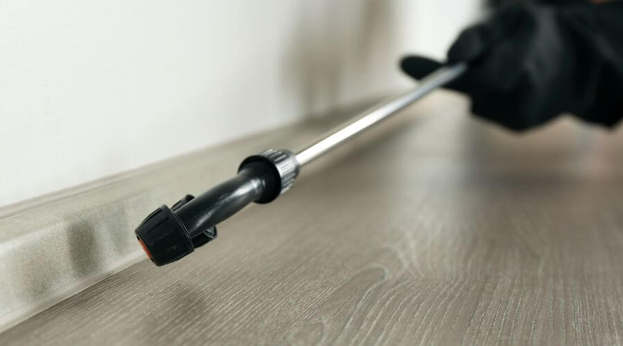 Professional rat control services in Chaparral Pines - Rat Control Chaparral Pines